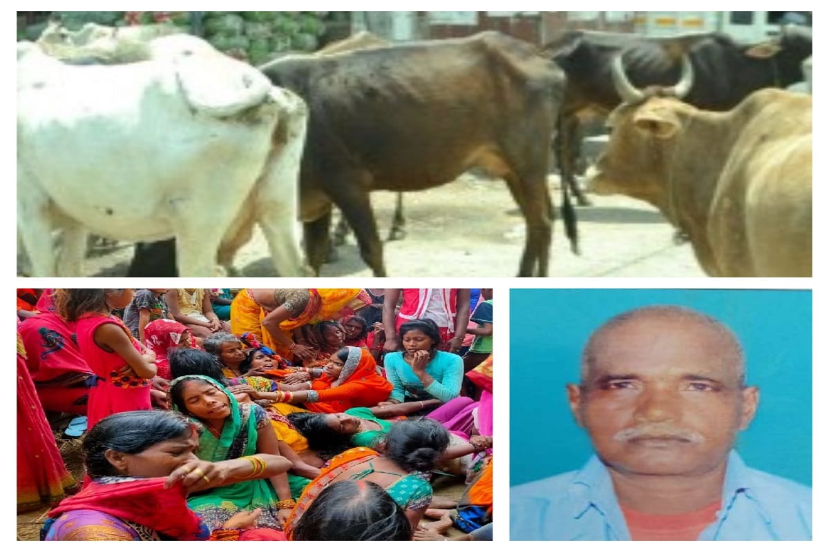 Man dies in cow attack in Ballia