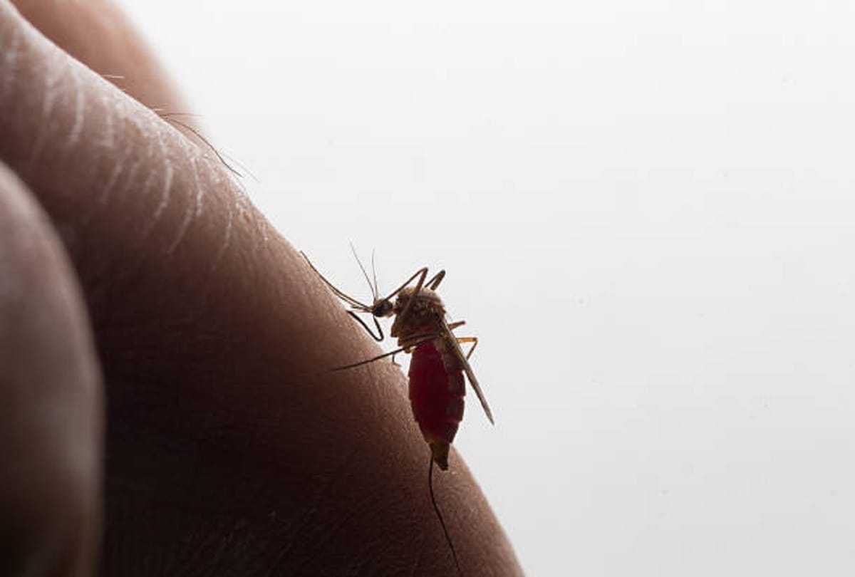 Five most dangerous diseases in the world