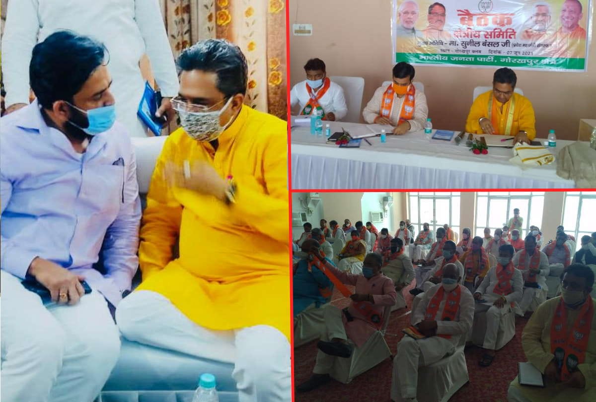 State General Secretary Organization Sunil Bansal gave mantra of election won by participating in meeting of Regional Working Committee
