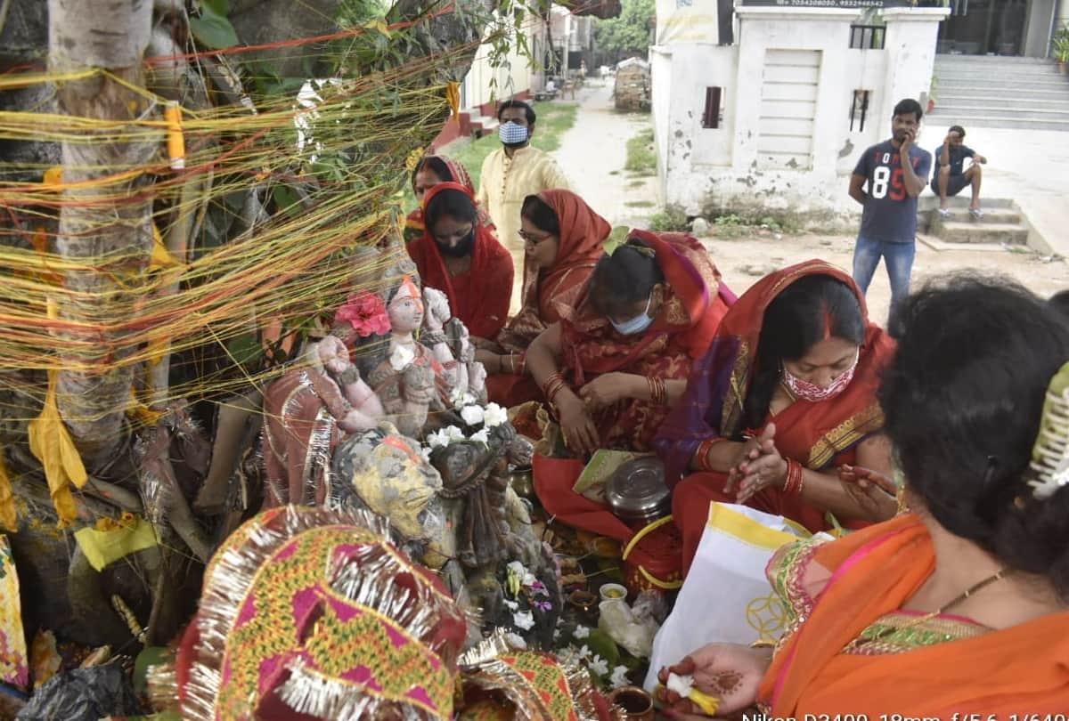life giving banyan tree cut of during development in UP