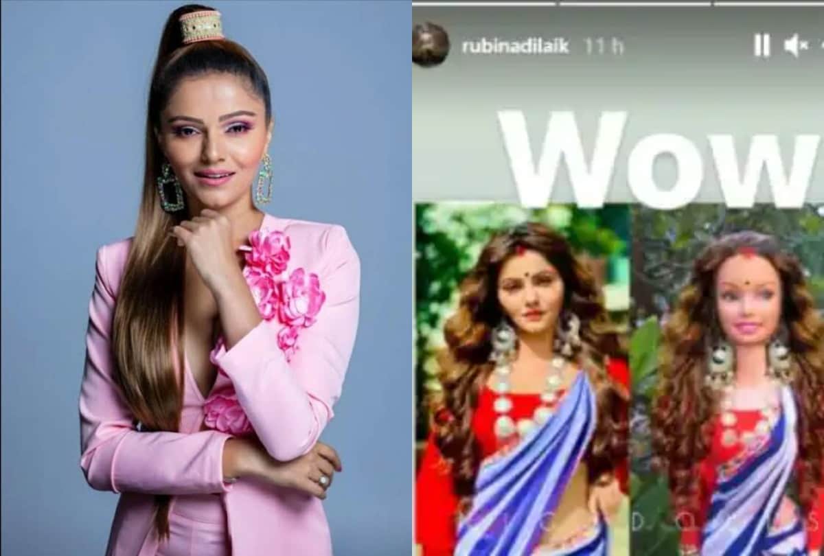 Artist Made Beautiful Dolls Inspired From Rubina Dilaik Nora Fatehi Madhuri Dixit Aishwarya Rai Looks