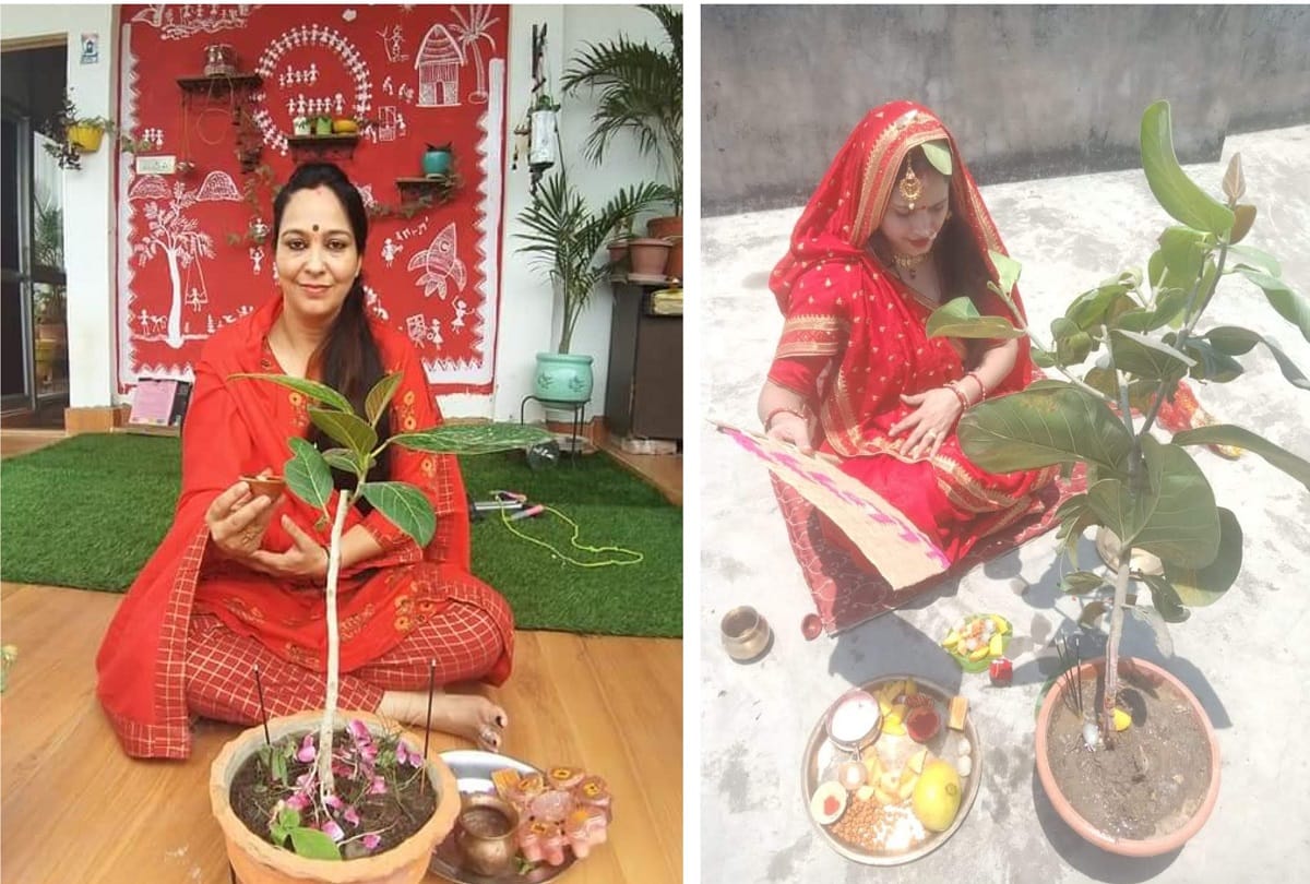vat savitri vrat 2021 in varanasi womens did worship for the long life of their husband under banyan tree