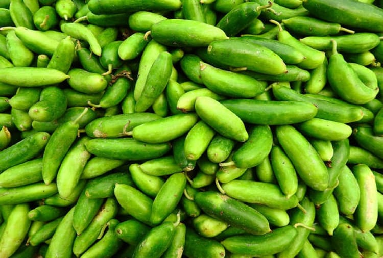 Health Benefits Of Ivy Gourd In Hindi Kundru Ke Fayde Amar Ujala