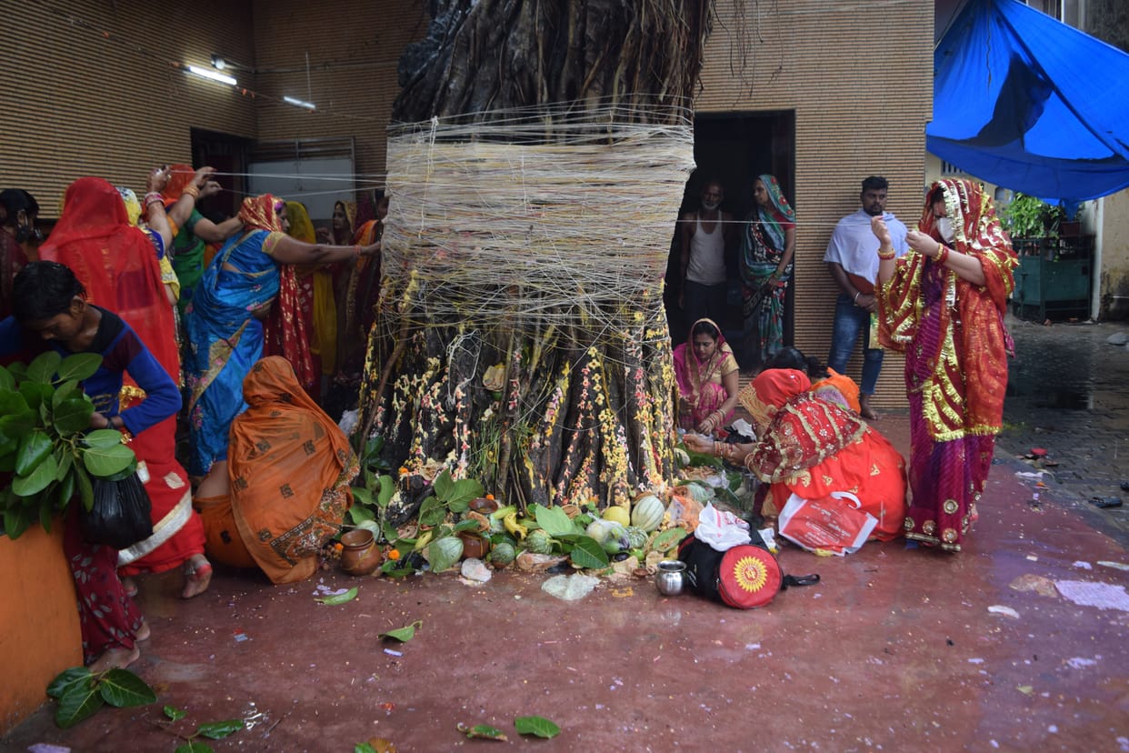 Suhagins worshiped the banyan tree
