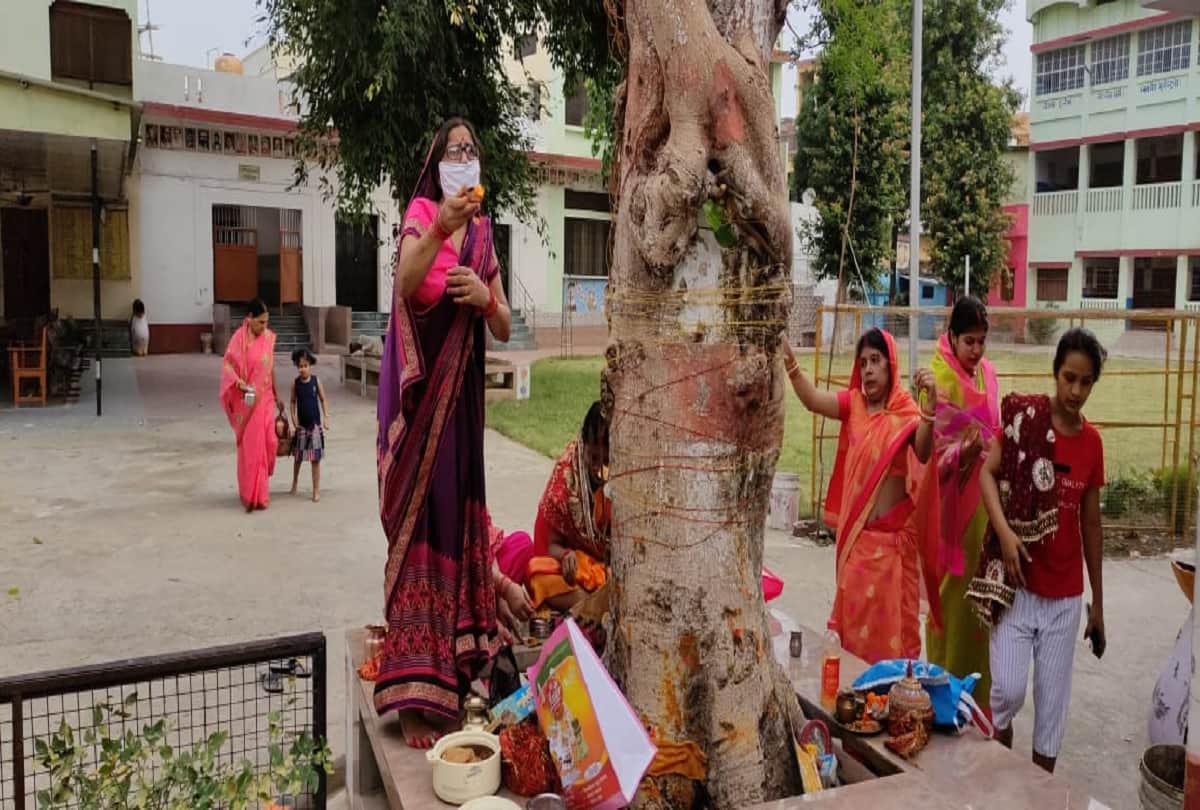 Women celebrates Vat Savitri festival for long life of their husband