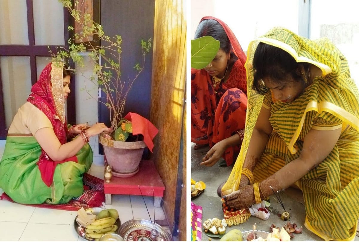 vat savitri vrat 2021 in varanasi womens did worship for the long life of their husband under banyan tree