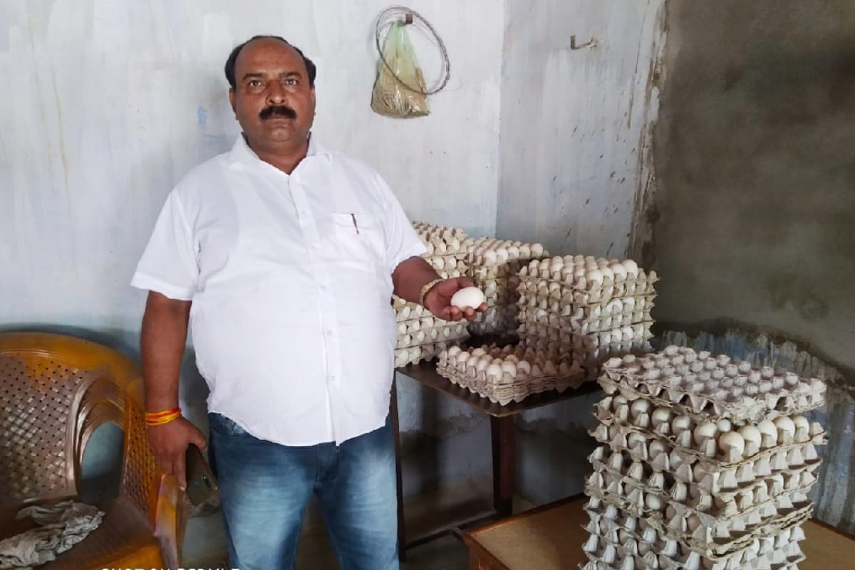 Meerut Amar Ujala Special Report: Duck eggs are more beneficial than chicken eggs