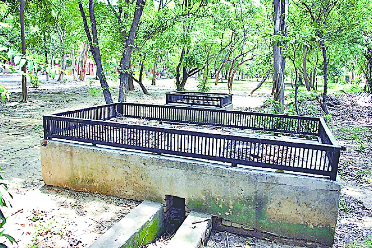 Meerut News: 40 Rain Water Harvesting Plants are Stopping Ground Water Levels in CCSU