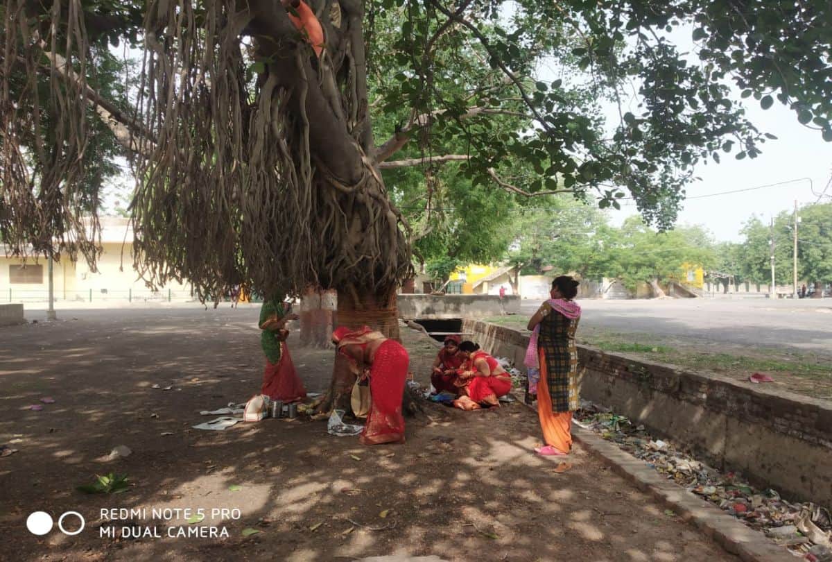 Vat Savitri Vrat 2021 Puja In Agra By Married Woman For Husband Long Live