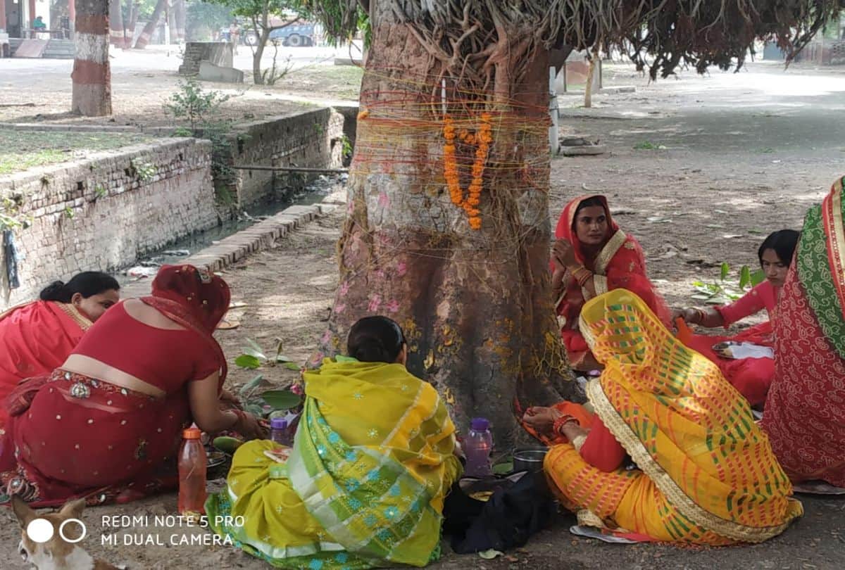 Vat Savitri Vrat 2021 Puja In Agra By Married Woman For Husband Long Live