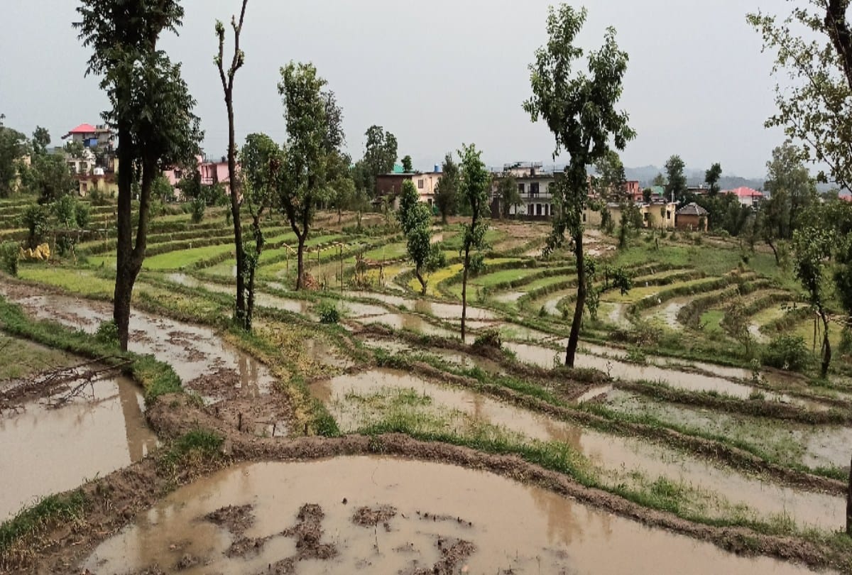 Thunderstorm, rain and hailstorm in Mandi-Kangra, pangi road restored  after six months