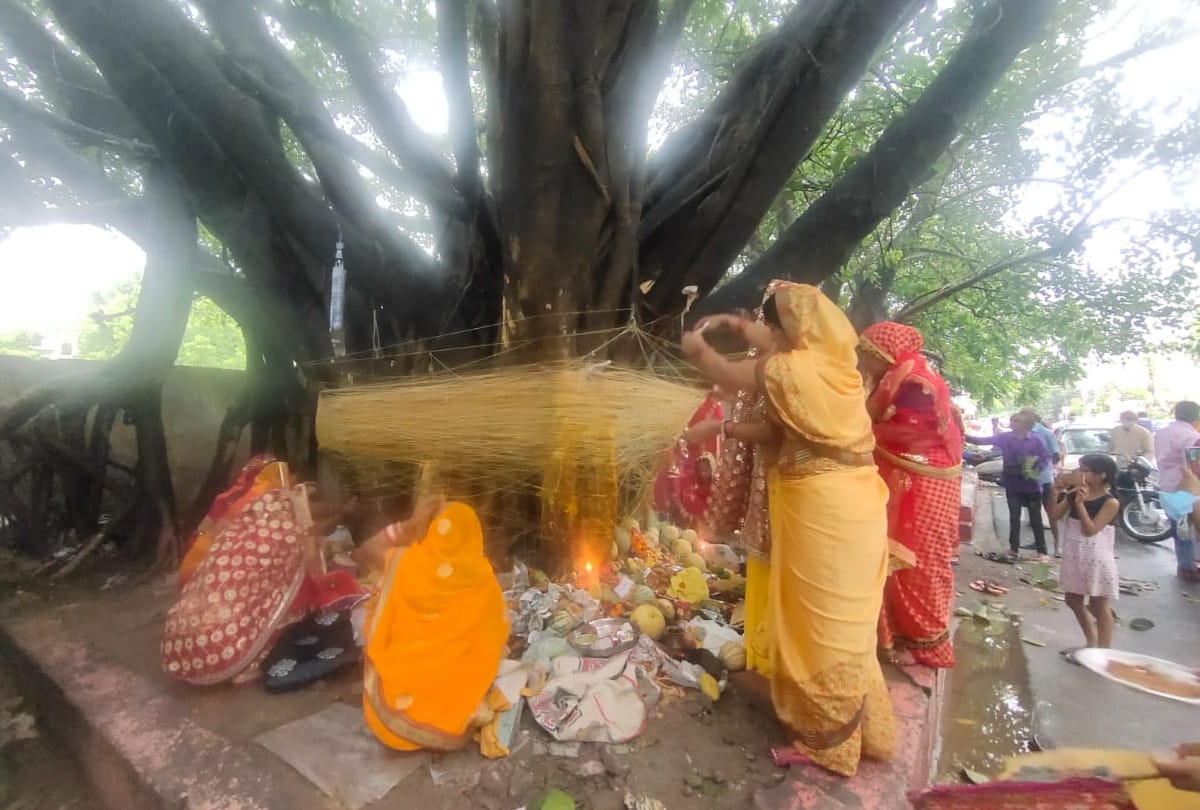 Vat Savitri Vrat Kab Hai Know Vat Savitri Vrat 2023 Date Shubh Muhurat Vrat Katha and Importance News in Hindi