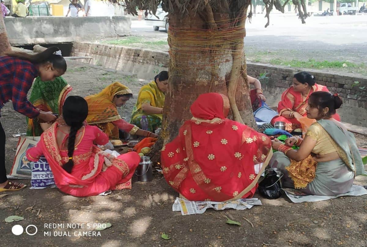 Vat Savitri Vrat 2021 Puja In Agra By Married Woman For Husband Long Live