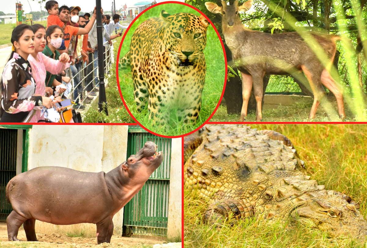 Gorakhpur UP Zoological Park Zoo News UP First Special Zoo In Gorakhpur See Latest Photos