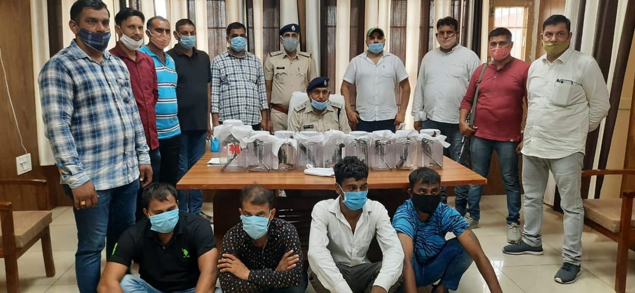 police arrest 4 accused with weapon