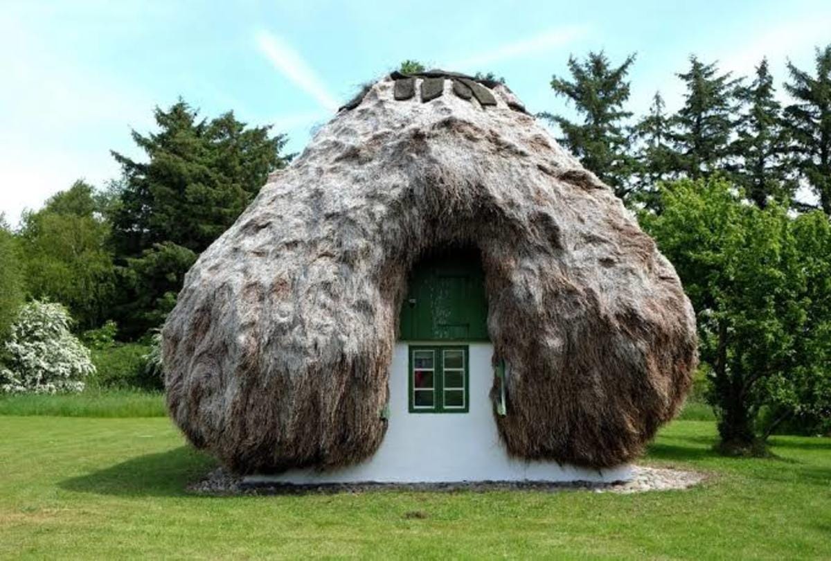 interesting facts about eelgrass house in danish island which help to increase oxygen level