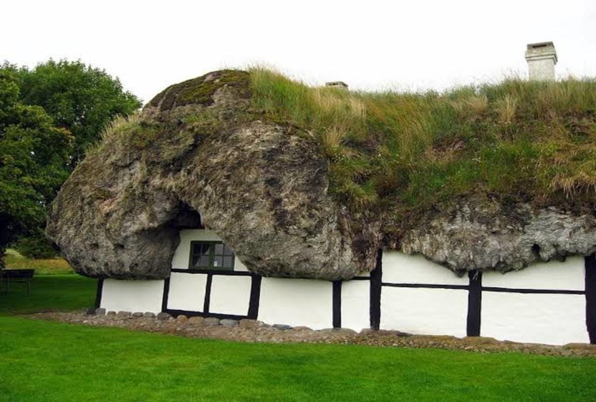 interesting facts about eelgrass house in danish island which help to increase oxygen level