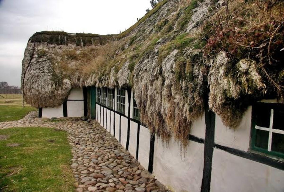 interesting facts about eelgrass house in danish island which help to increase oxygen level