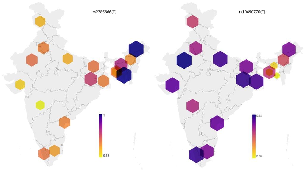 covid Death rate in South Asia is low due to unique genome ACe2  scientists of many institutions including BHU study claims