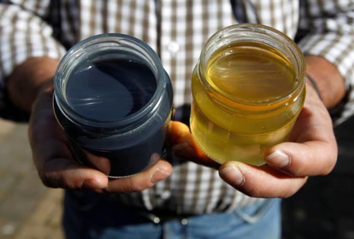know about mysterious bees which gives blue honey