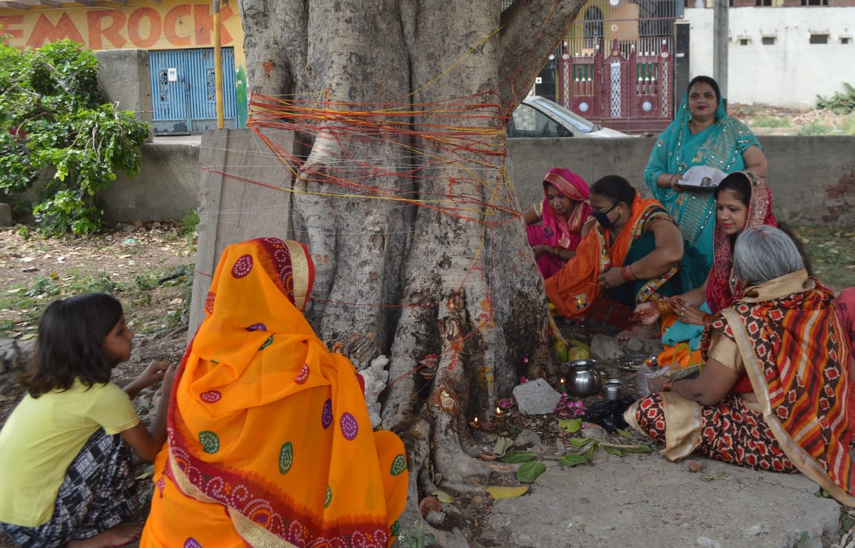 Hathras: Worshiping the banyan tree, wishing the husband's longevity and children's progress