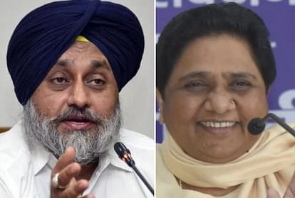 Way Clear for alliance between Shiromani Akali Dal and BSP for Punjab assembly elections 2022