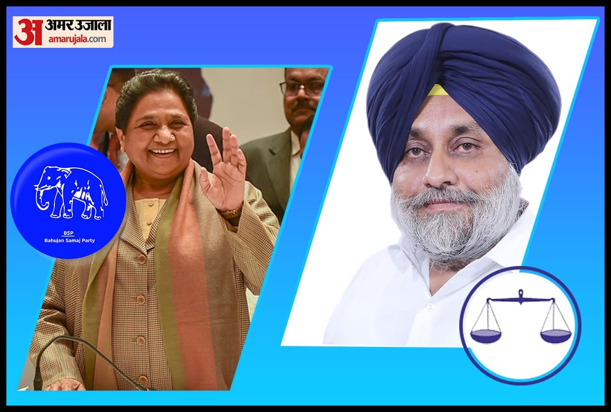 SAD-BSP alliance gearing up for Loksabha elections