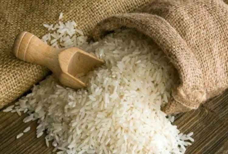Rice Grain Analysis Software is Prepared by Central Scientific Instruments Organization of Chandigarh