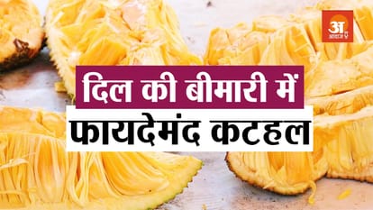 कटहल