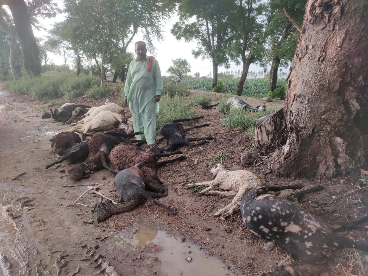 Thunderstorm and rain wreaked havoc... three laborers were buried due to the collapse of the wall, more than 250 electric poles fell