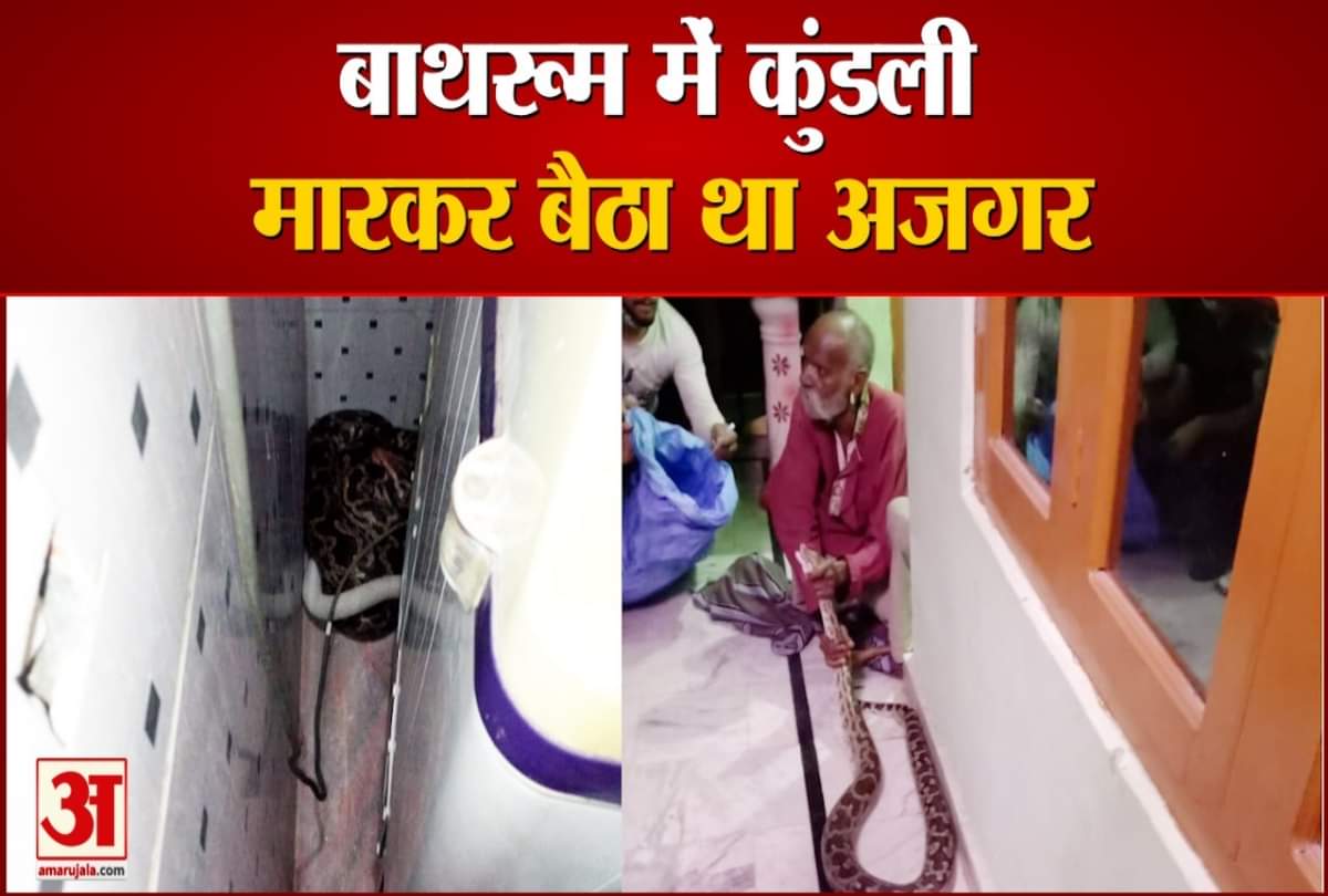 python enters bathroom of house in Hamirpur Himachal Pradesh
