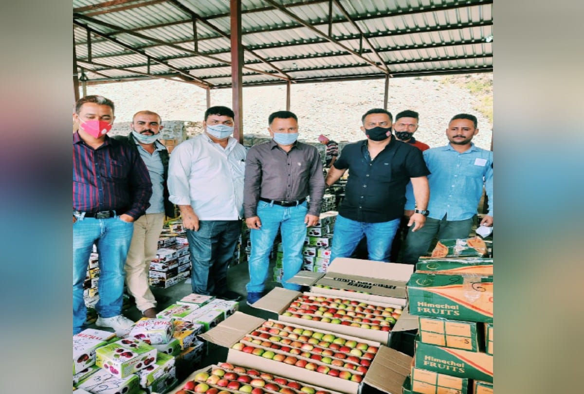 Red June apple knock in Shimla, double the price than last year