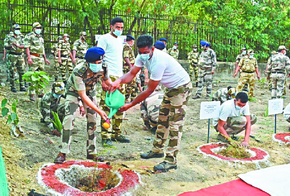 Delhi News : Herbs will flourish in the Red Fort
