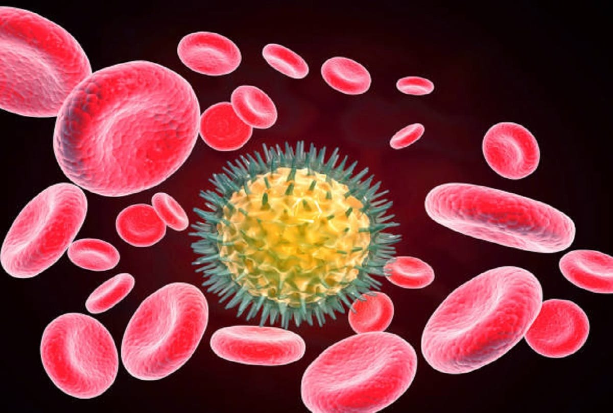 what we know about covid-19 immunity, active immunity and passive immunity difference