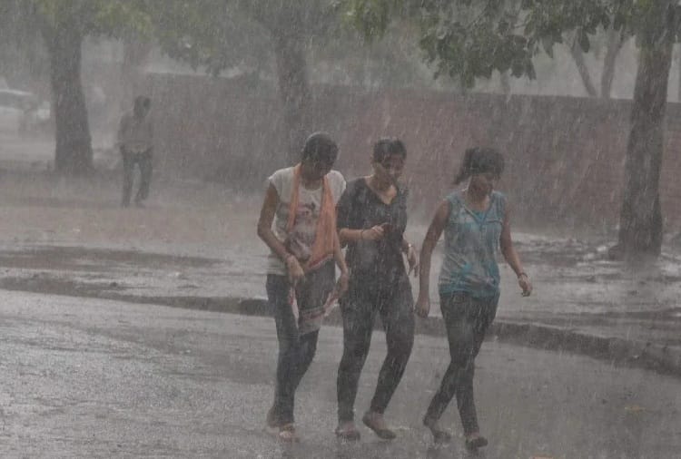 Chandigarh weather update: Monsoon arrived in Chandigarh and half part of Punjab And Haryana