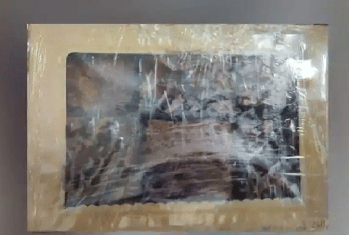 NCB Mumbaibusted a city-based marijuana cake making bakery intercepted three persons including a woman