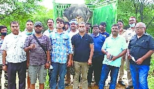 The spoiled elephant left for Dudhwa from Chandauli
