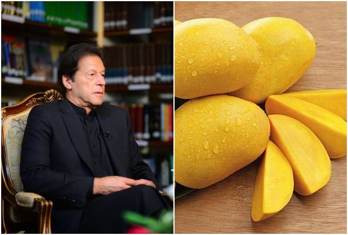 Pakistan s mango diplomacy finds no takers in US China Islamabad