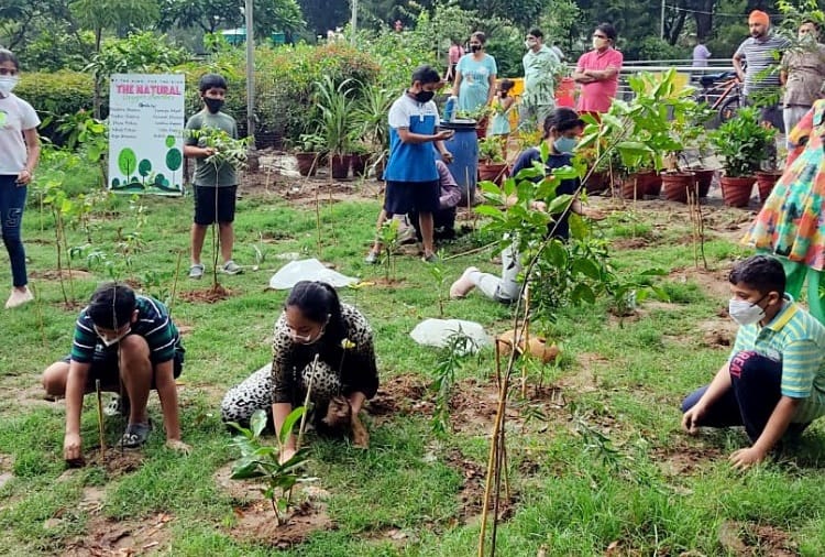 Children create micro oxygen chamber by planting 750 sapling in Ludhiana