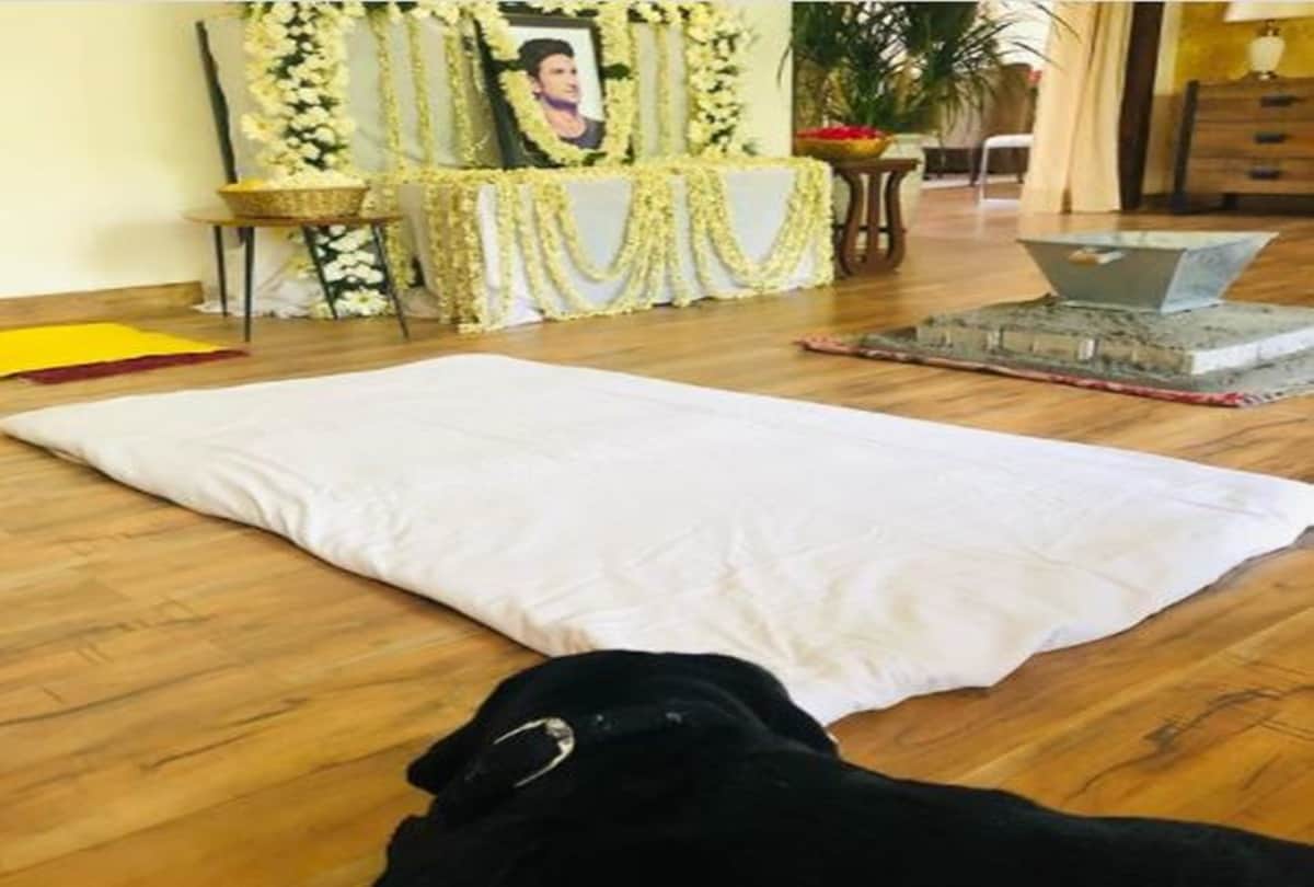 Sushant singh rajput Priyanka share memorial photo on instagram said Life is not the same since you gone