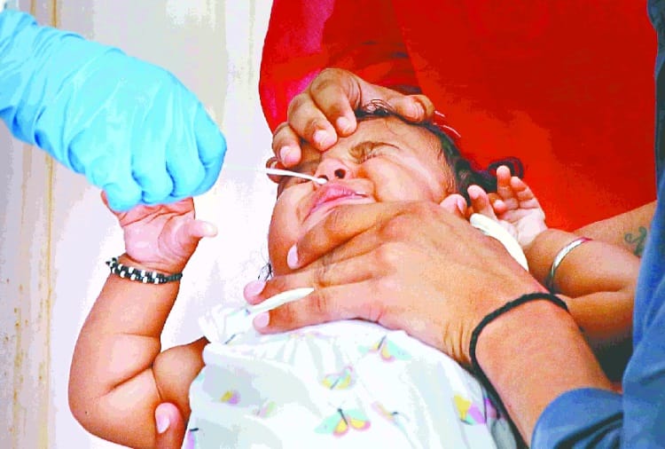 Haryana Corona Update: 339 new case, 43 died