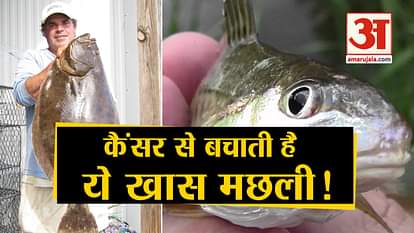 medicinal value of expensive croaker fish balochistan of pakistan