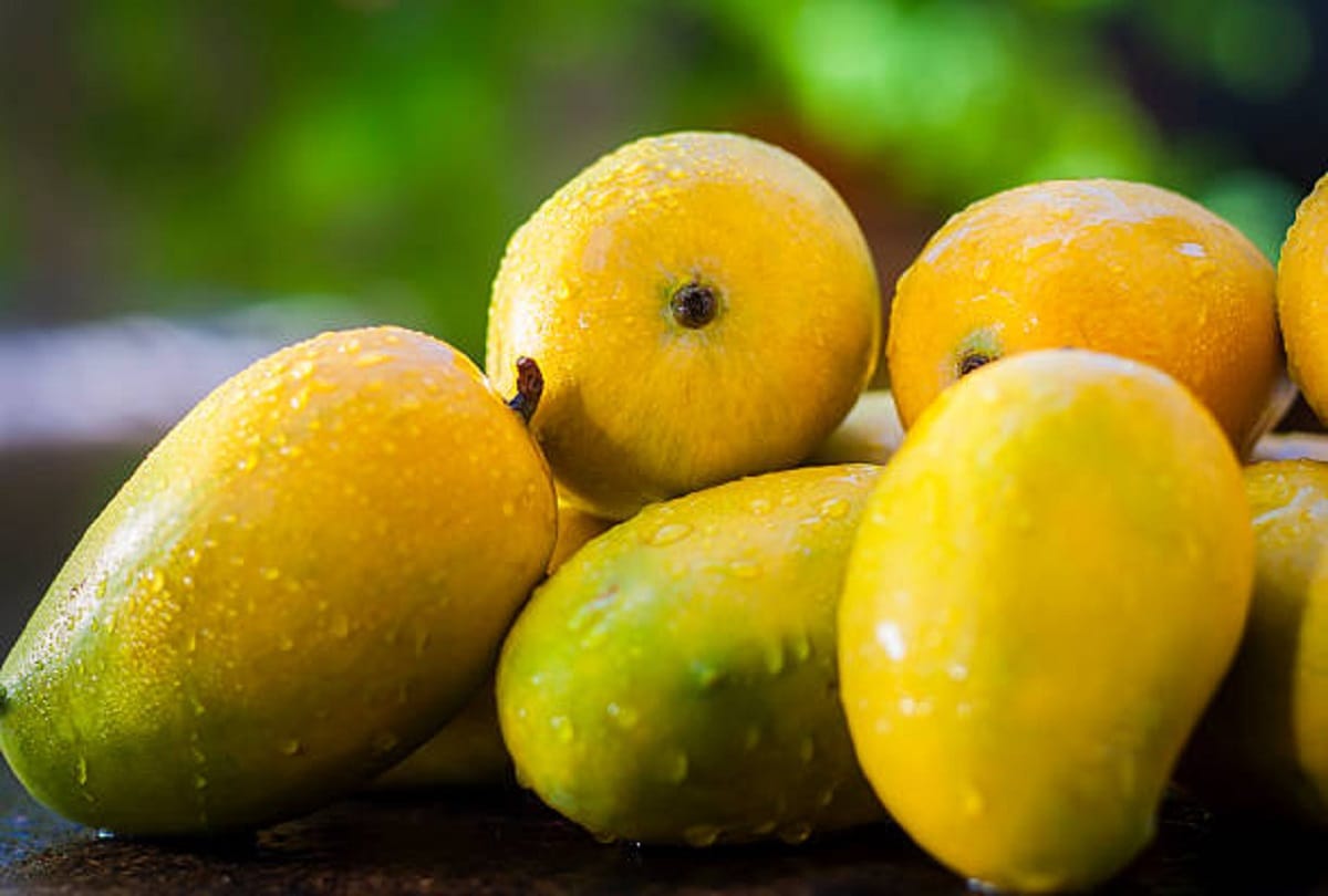 Bihar's 'Langara aam' and 'Shahi Litchi' will soon get new overseas markets