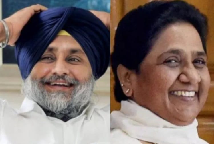 Effect of Akali dal-BSP alliance on Politics of Punjab