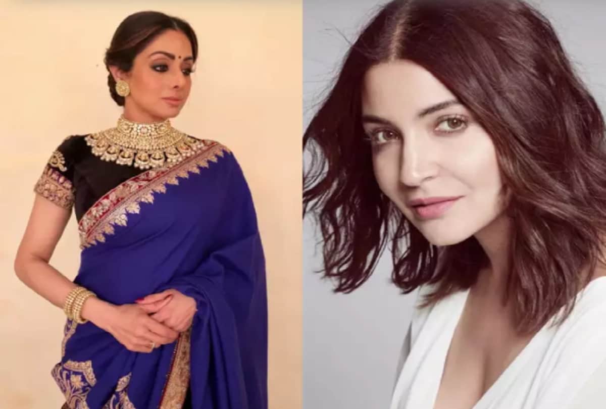 Anushka Sharma sridevi and more celebs who took a break from work after delivering their baby