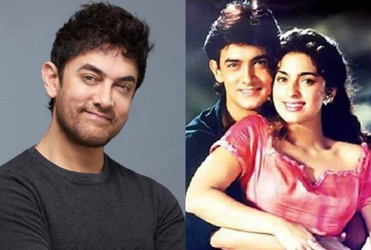 Aamir Khan Vs Sunny Deol: Know Here Gadar Ek Premkatha And Lagaan Actors Film Career Graph