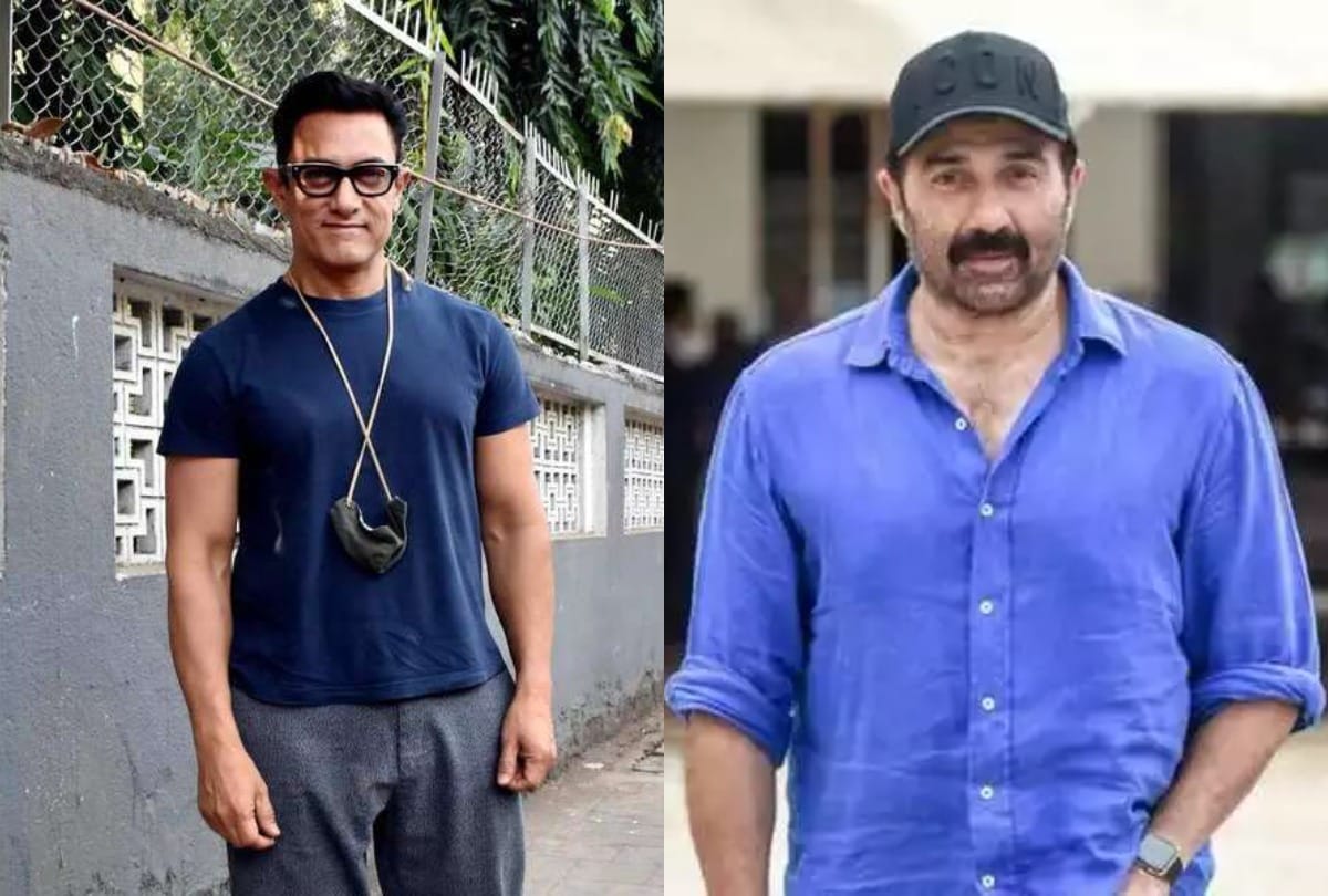 Aamir Khan Vs Sunny Deol: Know Here Gadar Ek Premkatha And Lagaan Actors Film Career Graph