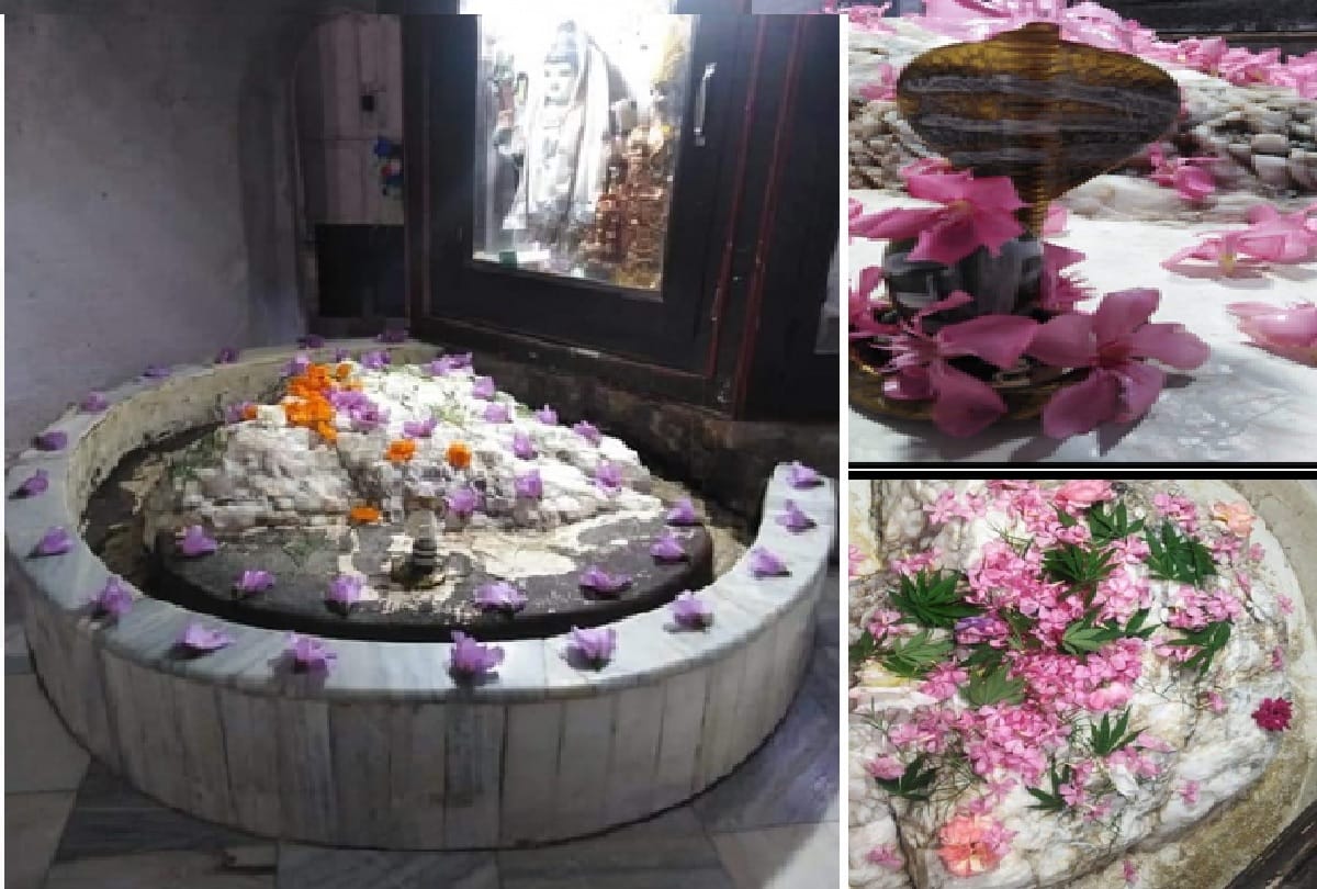 Jammu-Kashmir: VHP and Bajrang Dal workers from five states visited Shri Budha Amarnath
