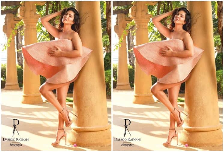 Dabboo Ratnani Calendar 2021 Sunny Leone Vijay Deverakonda Vidya Balan Tara Sutaria Vicky Kaushal