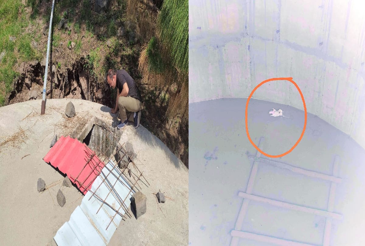 Negligence: Monkey found dead in drinking water tank in Dharampur solan